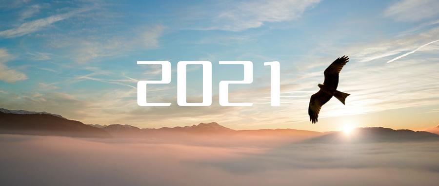 乘“峰”而上，智“盈”未来 ——2021年星空电竞环境高级资深副总裁新年开工动员